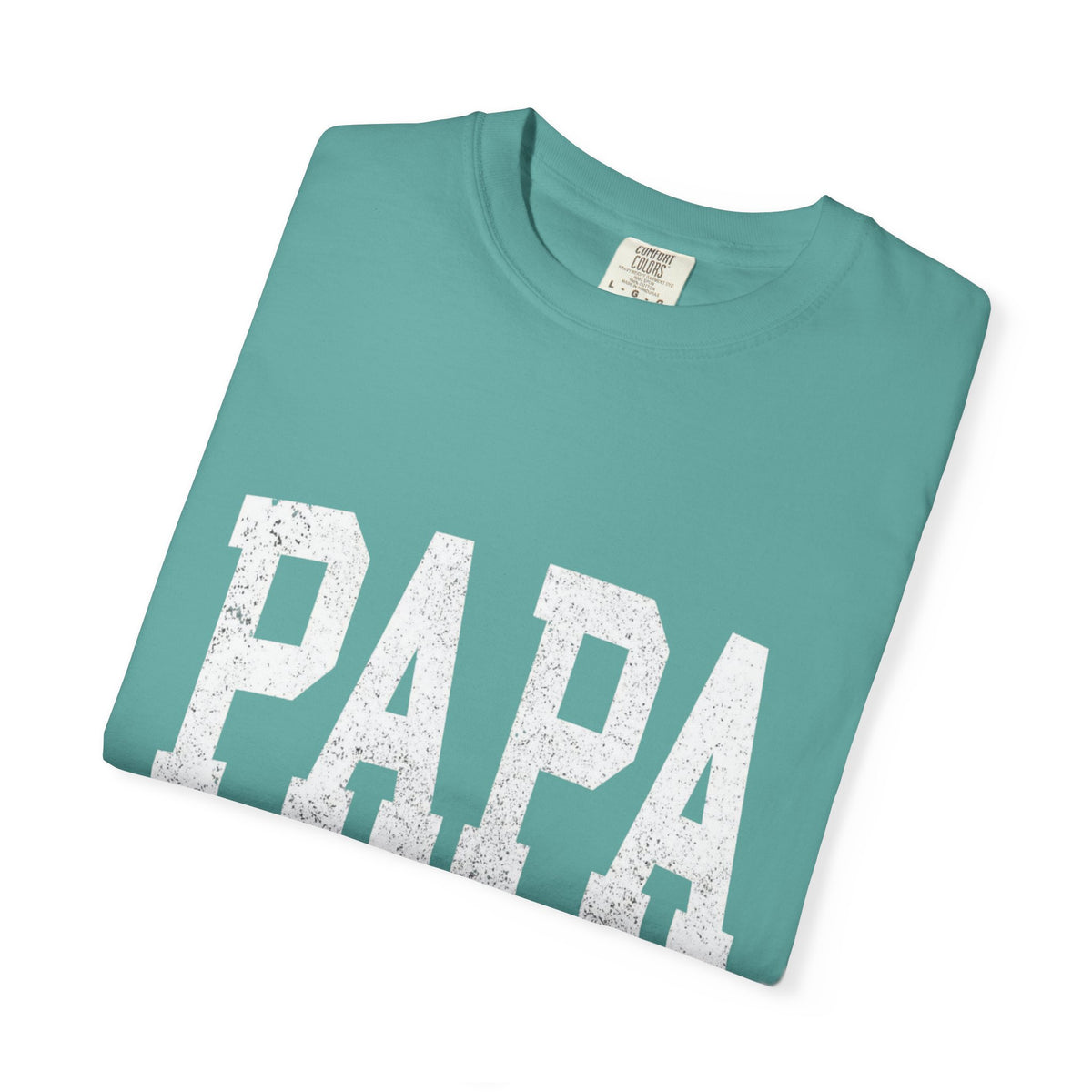PAPA EST. 2026 Garment-Dyed T-shirt