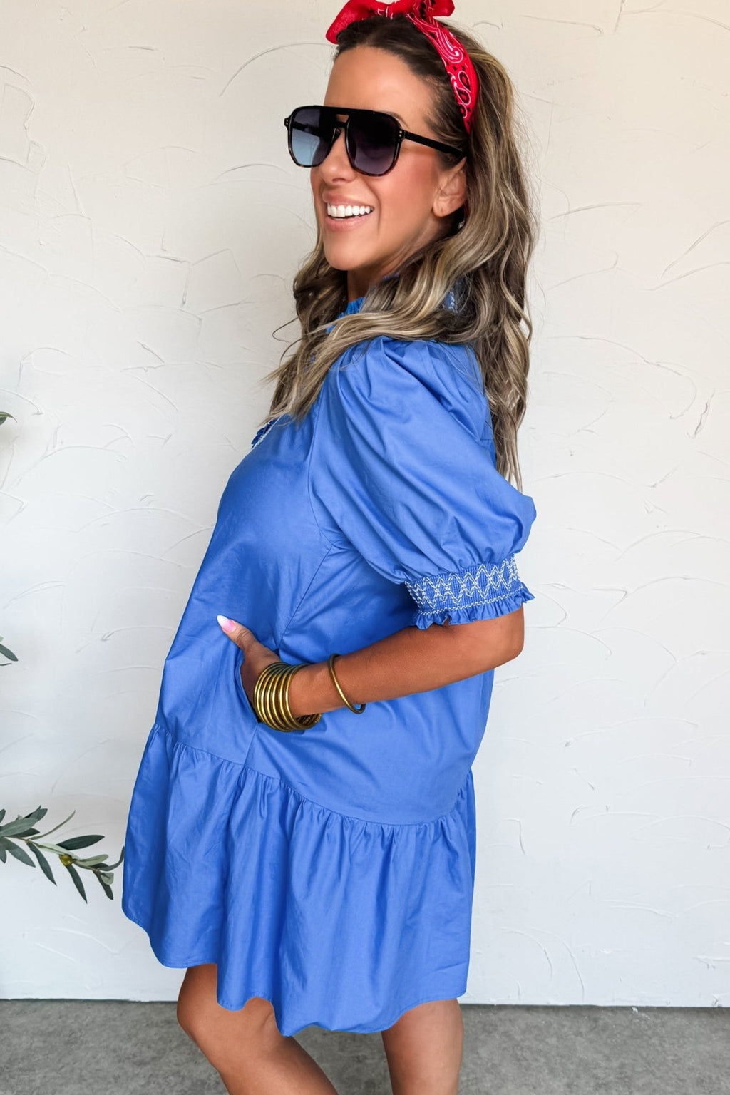 Embroidered Smocked V-Neck Puff Sleeve Mini Dress - Rooted & Reckless Co.