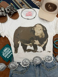 Hereford Bull Graphic Tee - Rooted & Reckless Co.