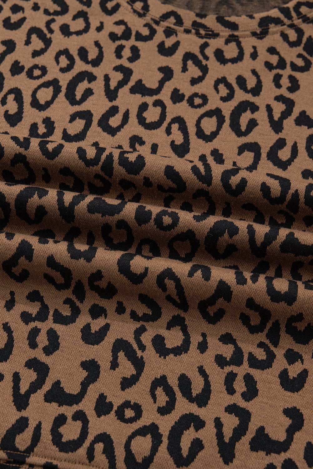 Leopard Varsity Stripe Trim Top & Drawstring Pants Set - Rooted & Reckless Co.