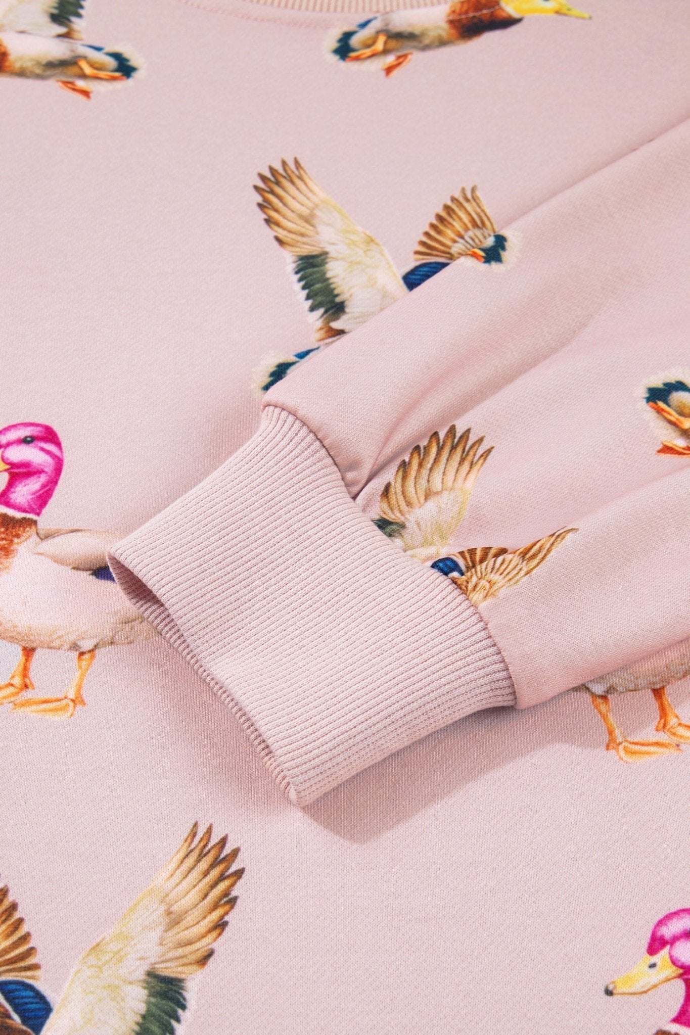 Mallard Duck Drop Shoulder Long Sleeve Sweatshirt - Rooted & Reckless Co.
