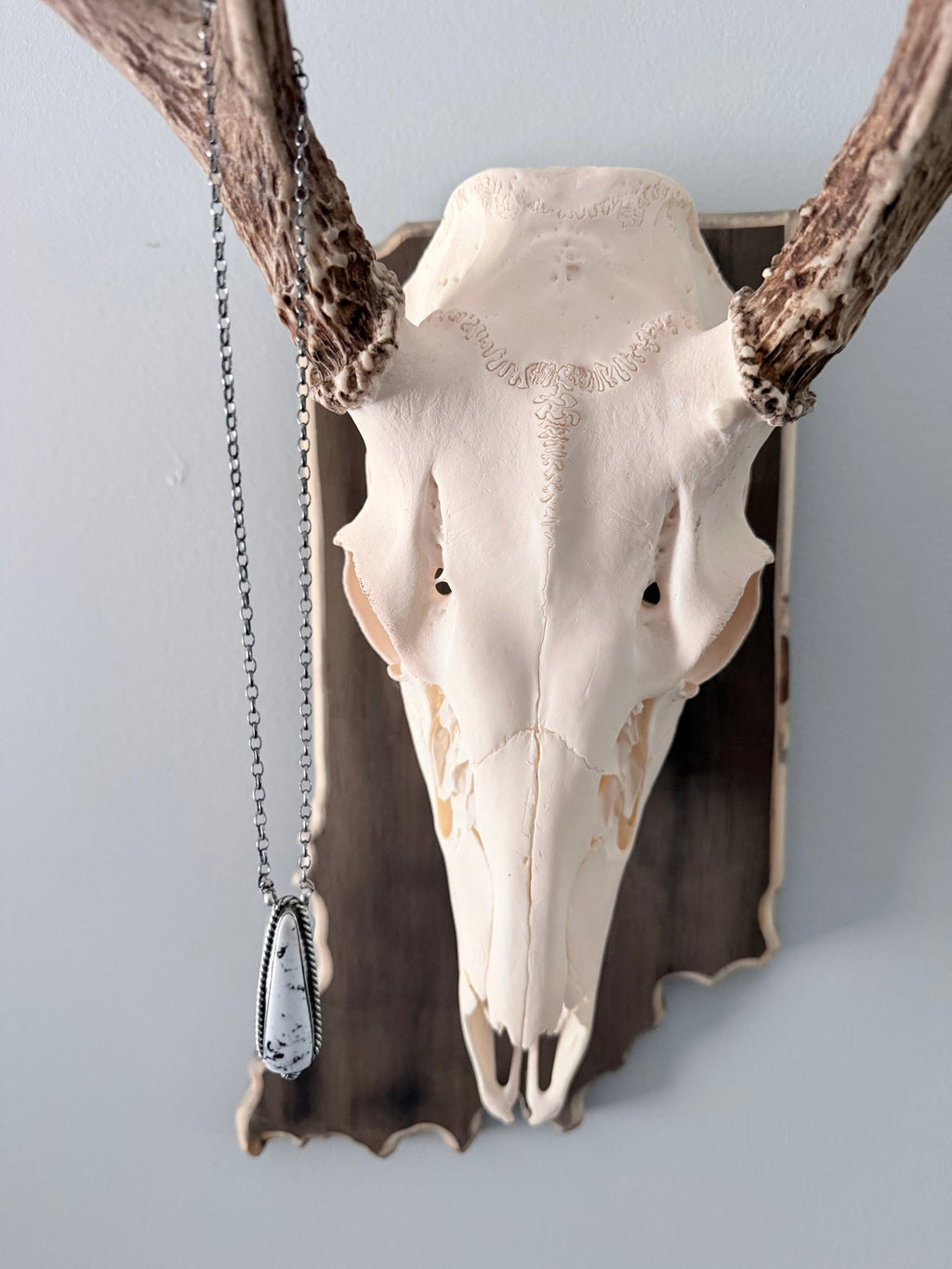 Navajo Made By Chassity Belone White Buffalo Necklace - Rooted & Reckless Co.