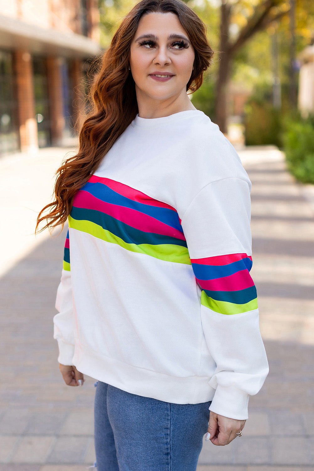 Plus Size Stripe Colorblock Drop Shoulder Sweatshirt - Rooted & Reckless Co.