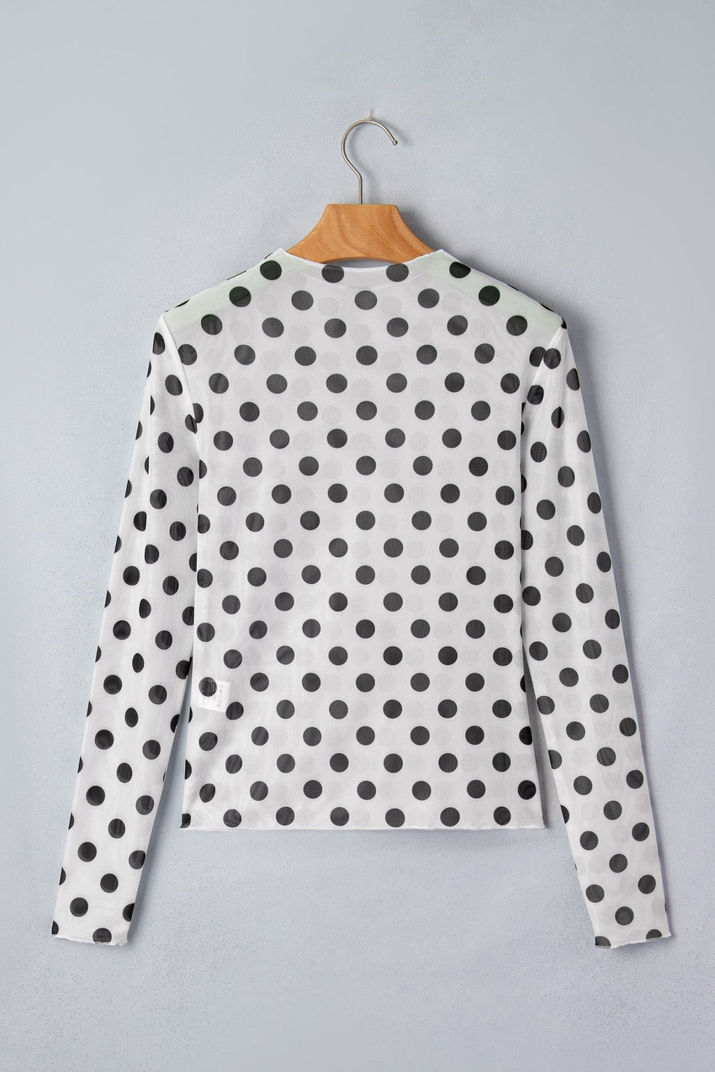 Polka Dot Mesh Long Sleeve Stand Neck Top - Rooted & Reckless Co.