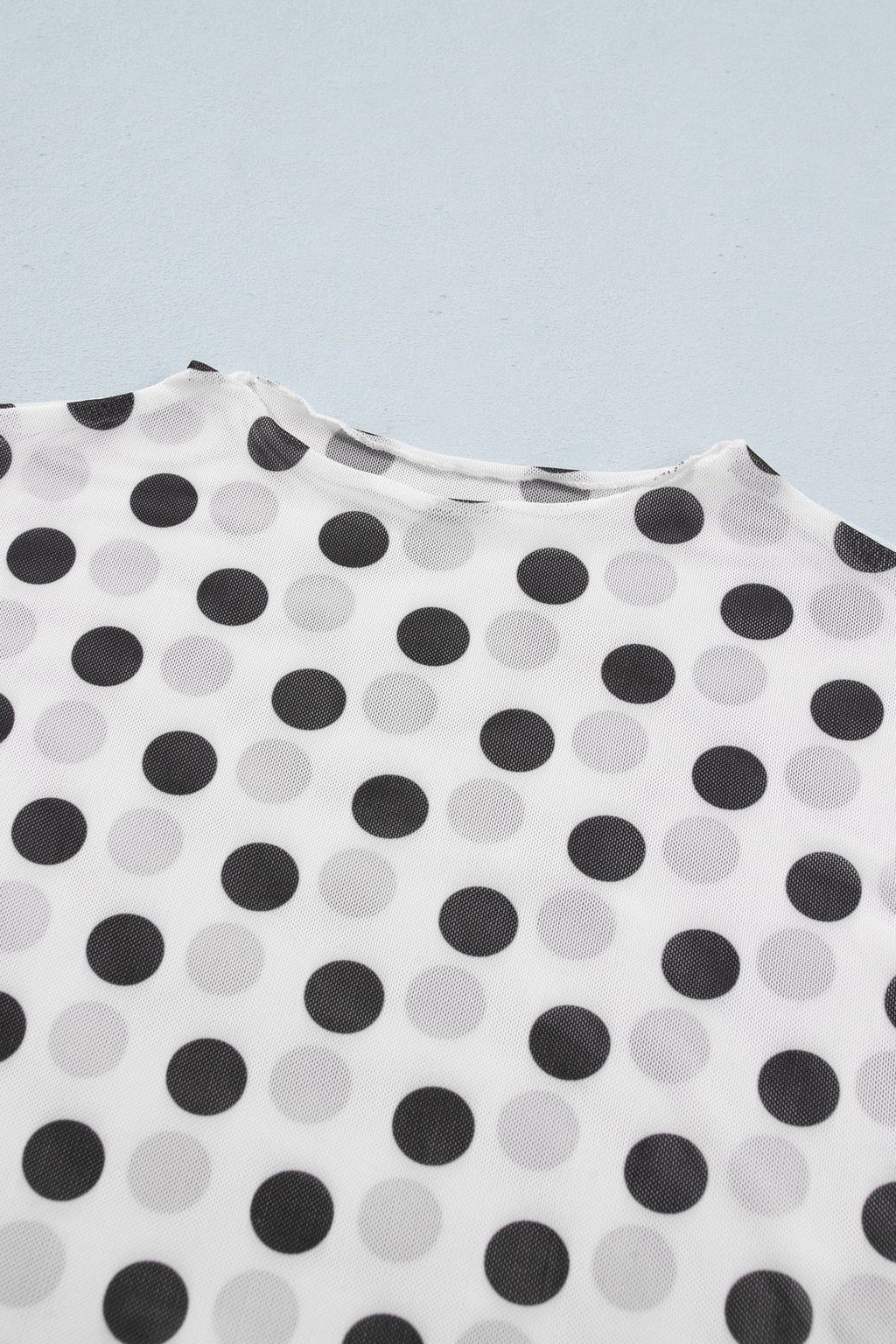 Polka Dot Mesh Long Sleeve Stand Neck Top - Rooted & Reckless Co.
