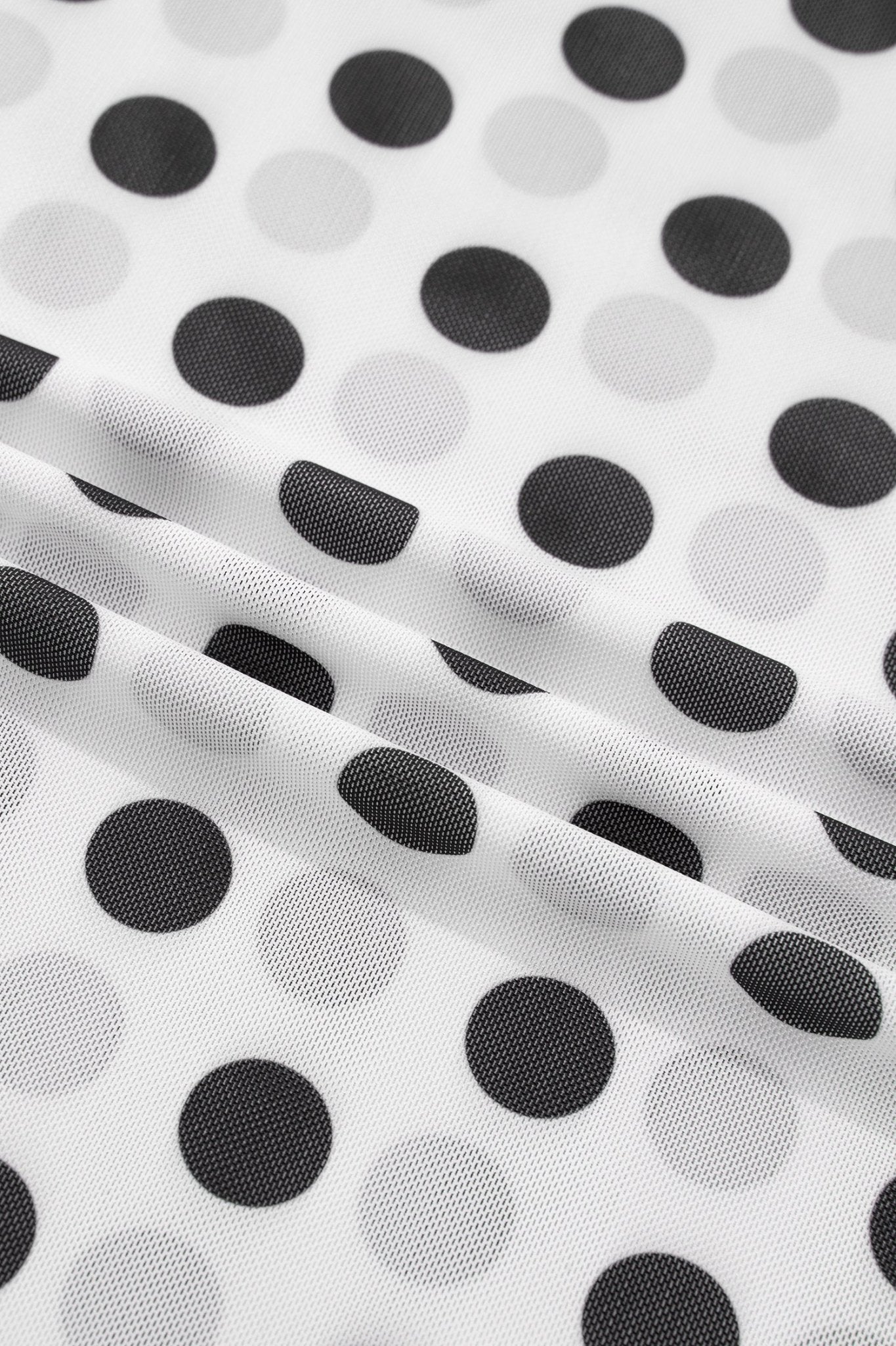 Polka Dot Mesh Long Sleeve Stand Neck Top - Rooted & Reckless Co.