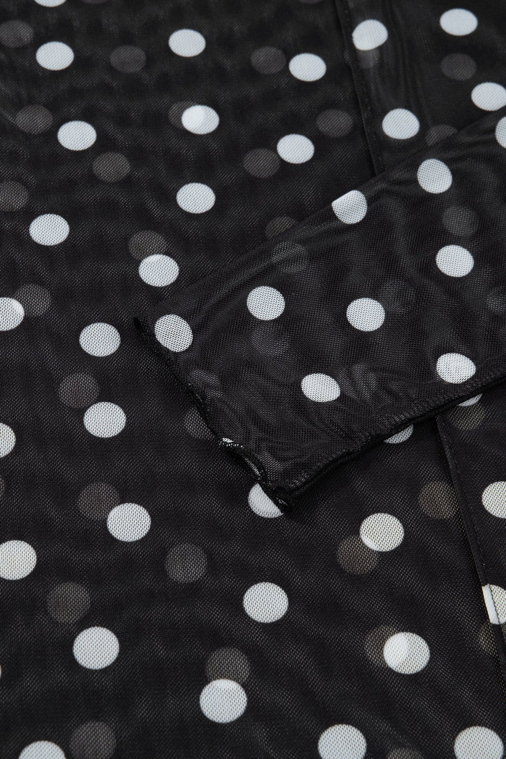 Polka Dot Mesh Mock Neck Long Sleeve Top - Rooted & Reckless Co.