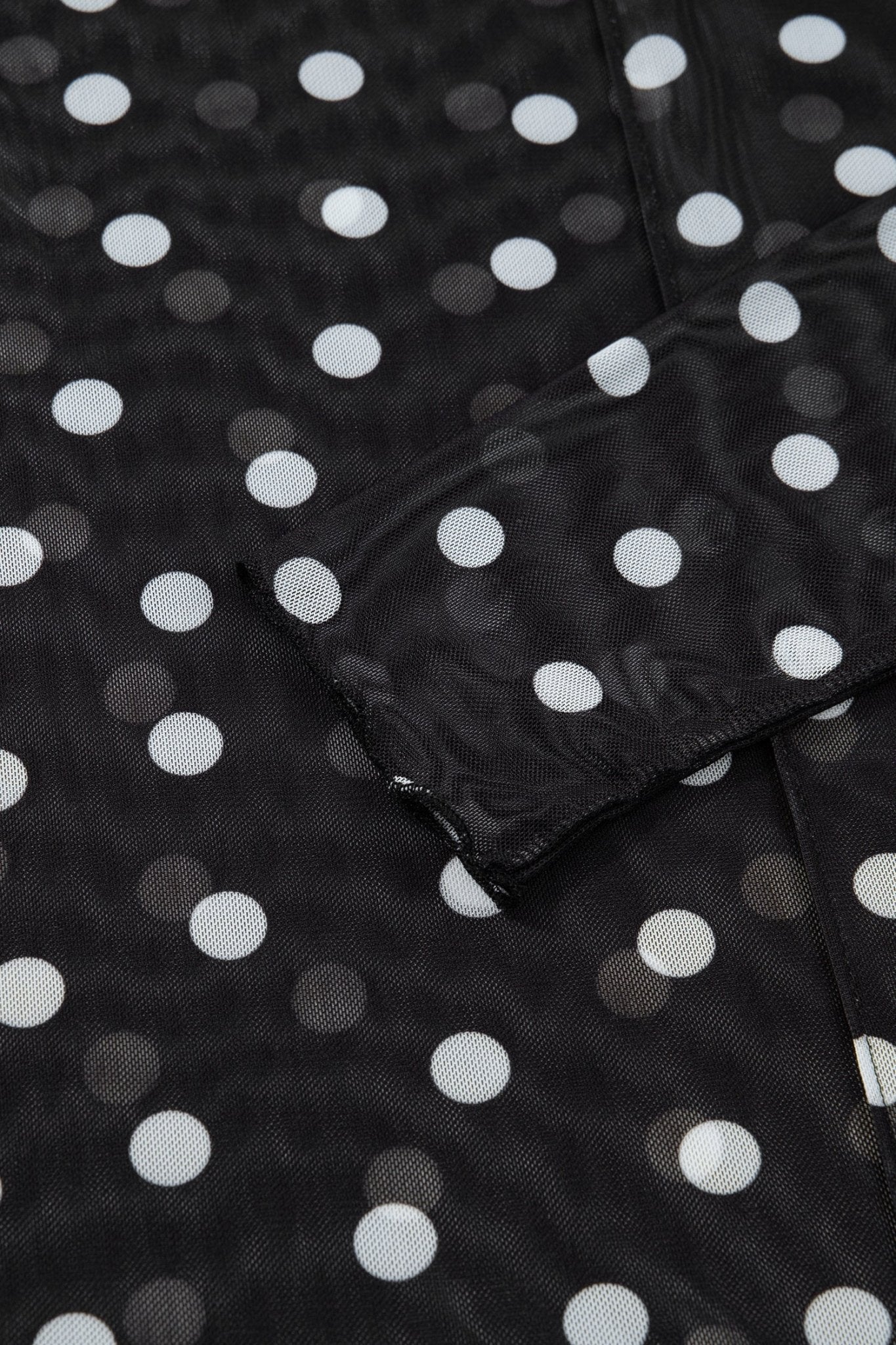 Polka Dot Mesh Mock Neck Long Sleeve Top - Rooted & Reckless Co.