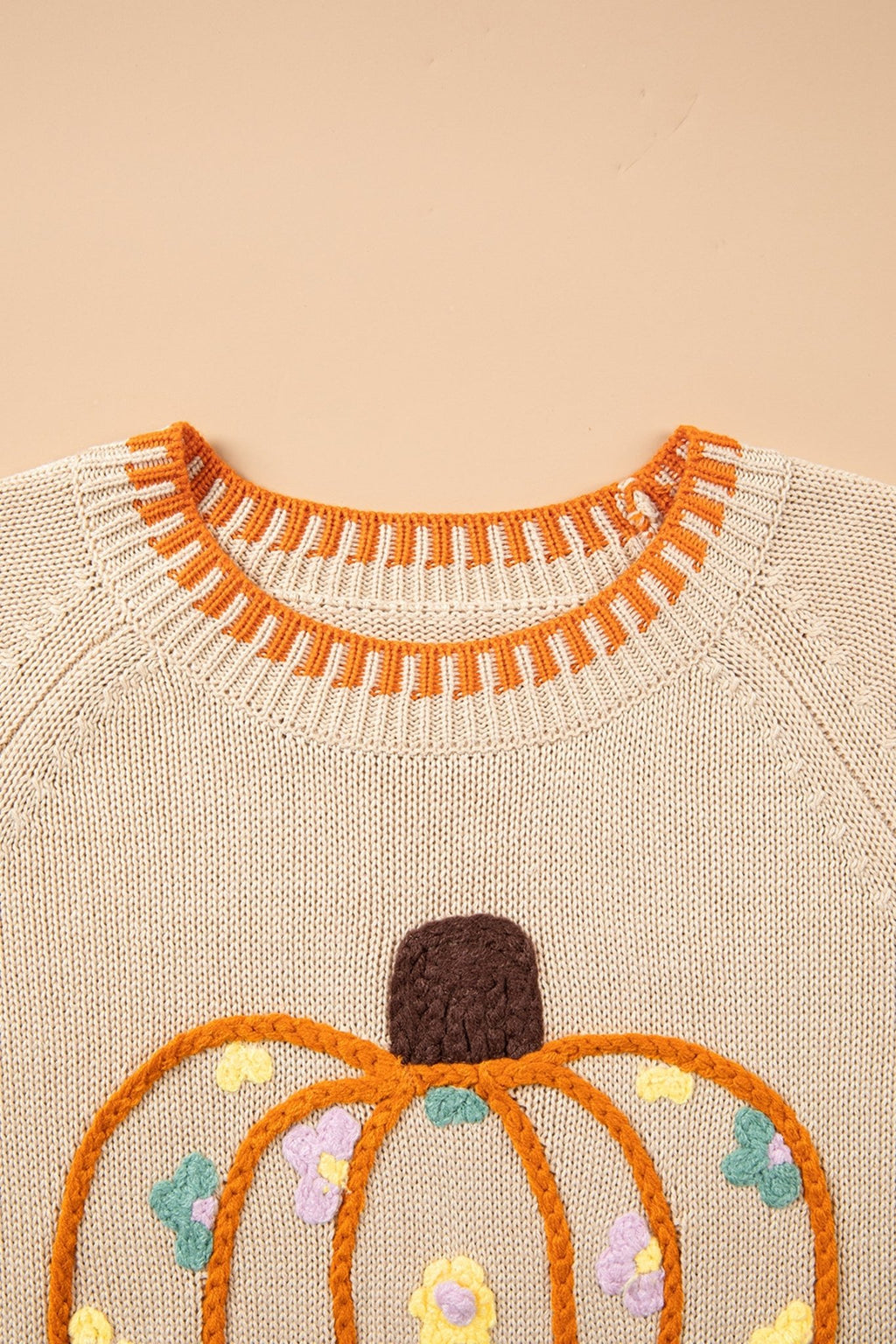 Pumpkin Floral Embroidered Round Neck Sweater - Rooted & Reckless Co.