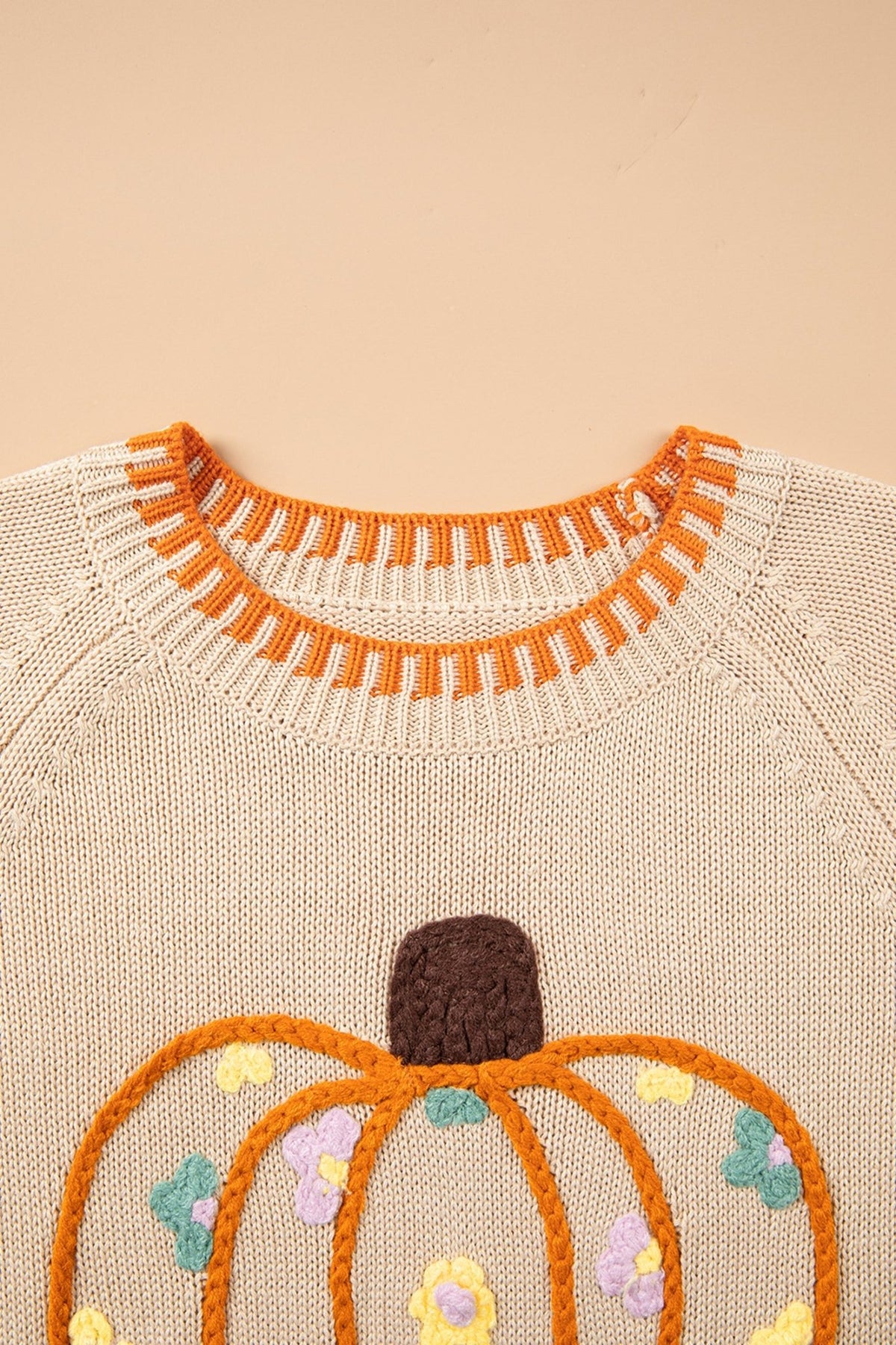 Pumpkin Floral Embroidered Round Neck Sweater - Rooted & Reckless Co.