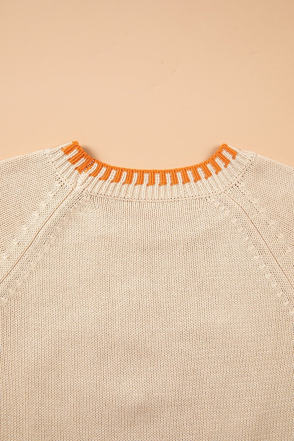 Pumpkin Floral Embroidered Round Neck Sweater - Rooted & Reckless Co.