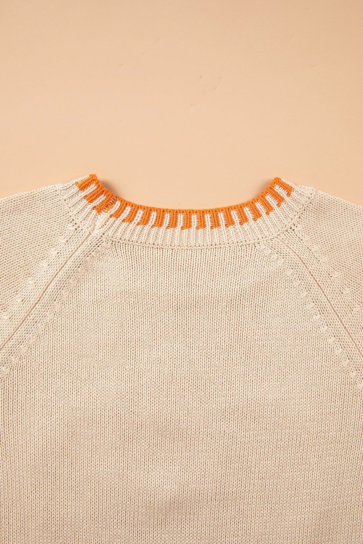 Pumpkin Floral Embroidered Round Neck Sweater - Rooted & Reckless Co.