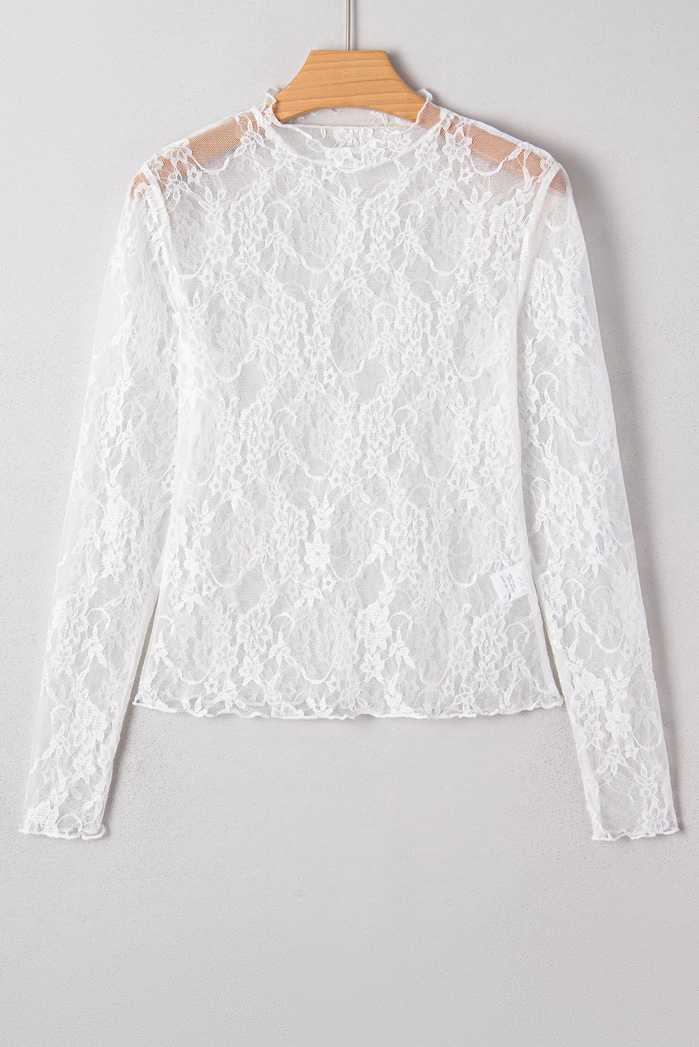 Sheer Lace Mesh Mock Neck Long Sleeve Top - Rooted & Reckless Co.