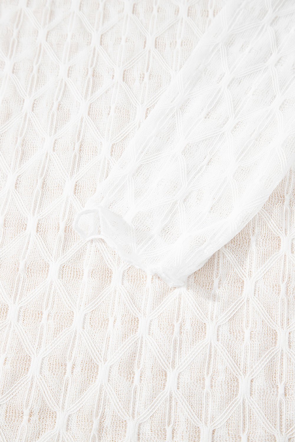 Sheer Mesh Lettuce Trim Long Sleeve Top - Rooted & Reckless Co.