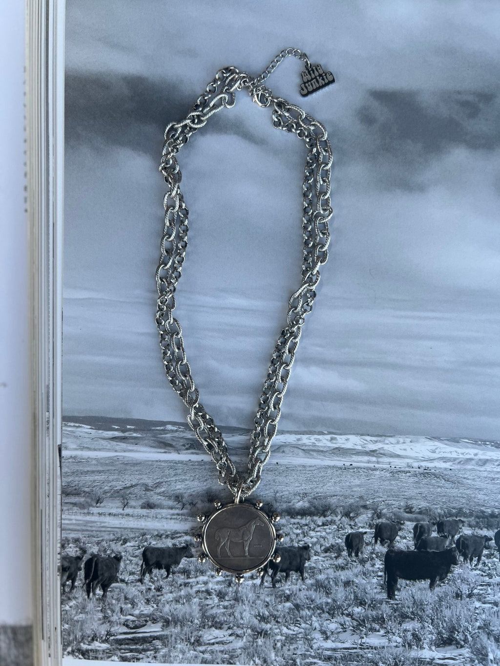 Silver Horse Coin Double Chain Necklace - Rooted & Reckless Co.