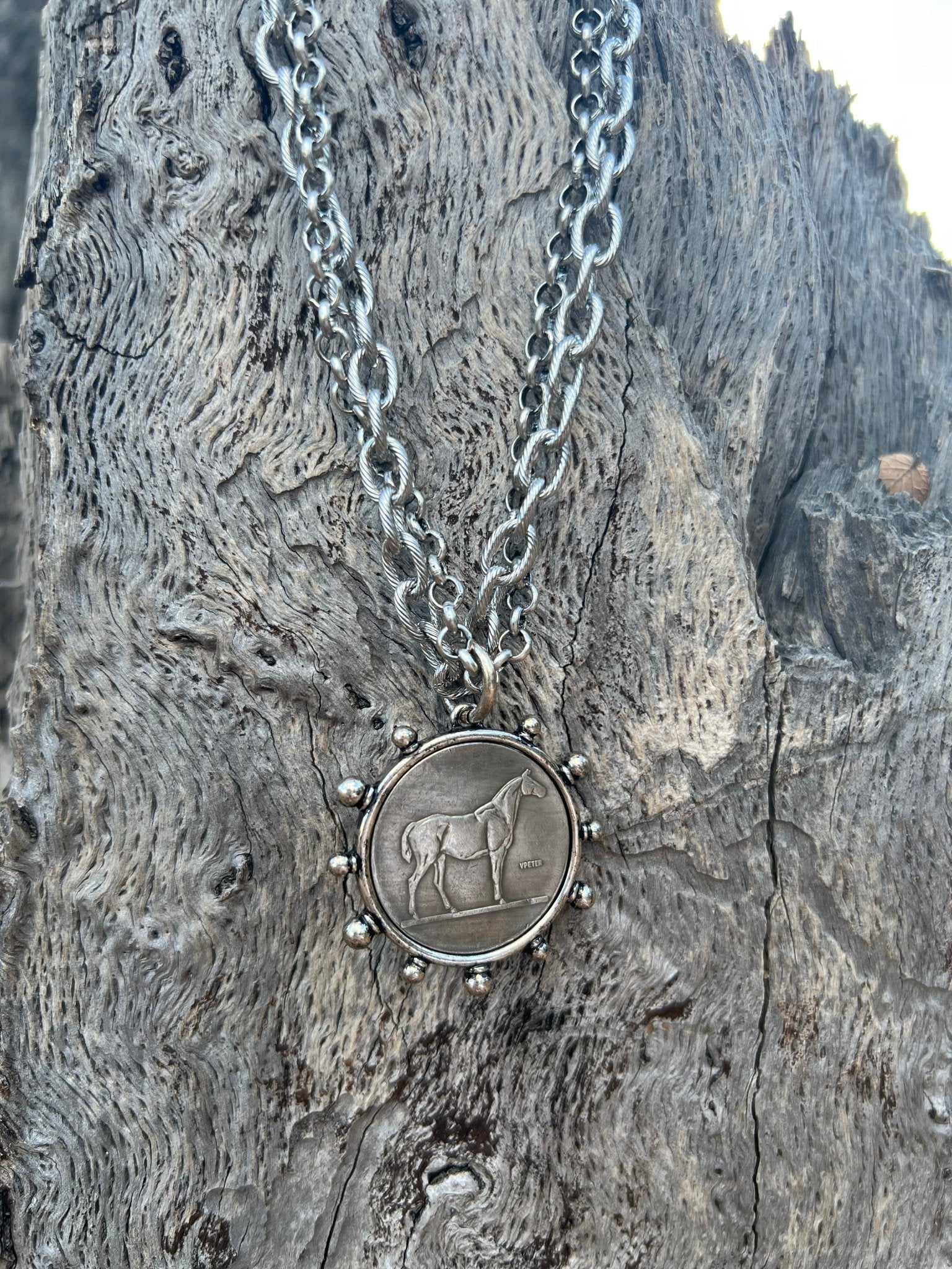 Silver Horse Coin Double Chain Necklace - Rooted & Reckless Co.