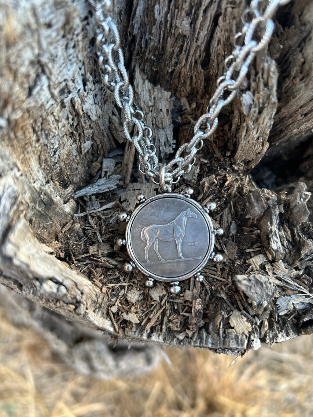Silver Horse Coin Double Chain Necklace - Rooted & Reckless Co.