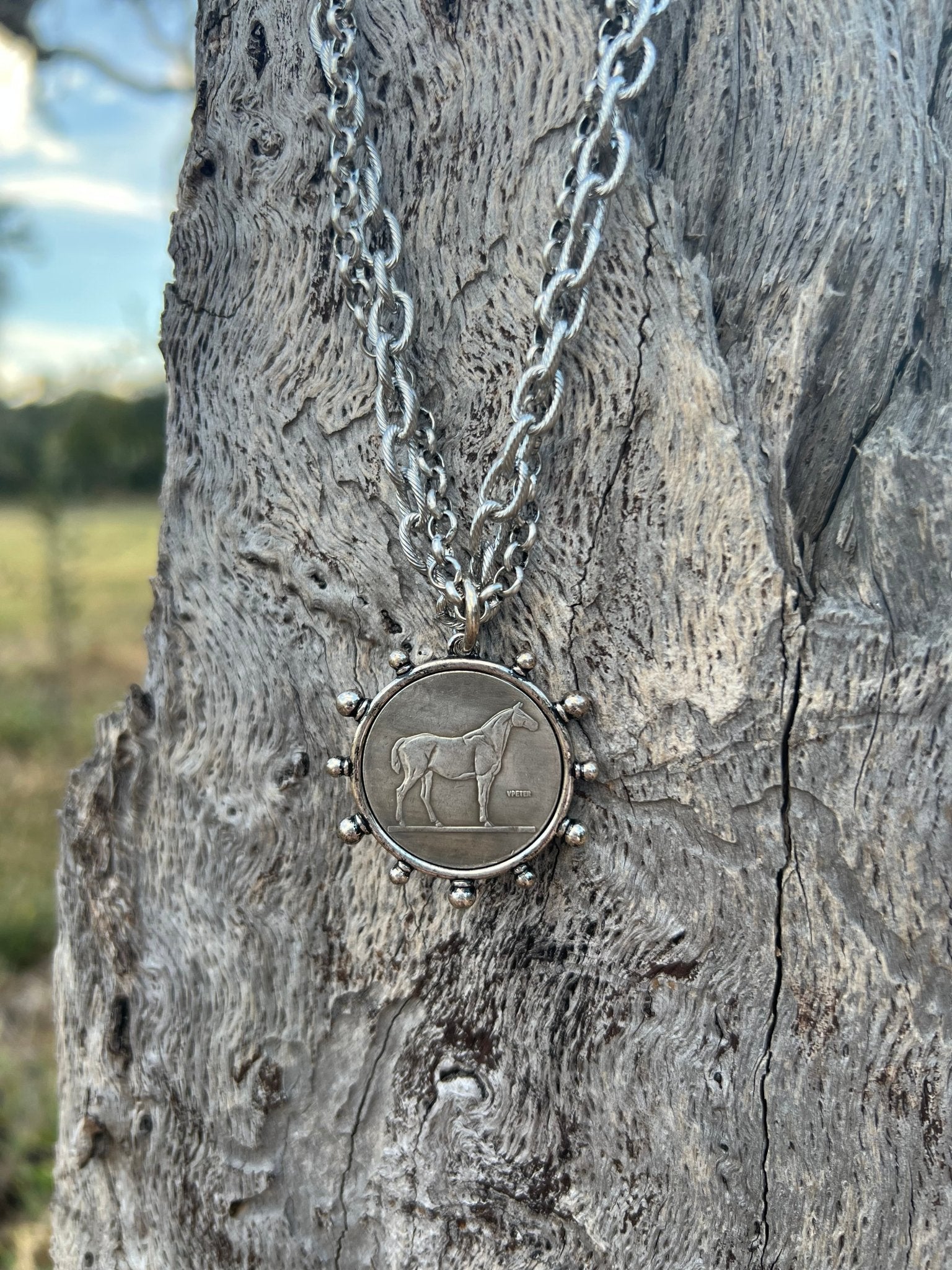 Silver Horse Coin Double Chain Necklace - Rooted & Reckless Co.