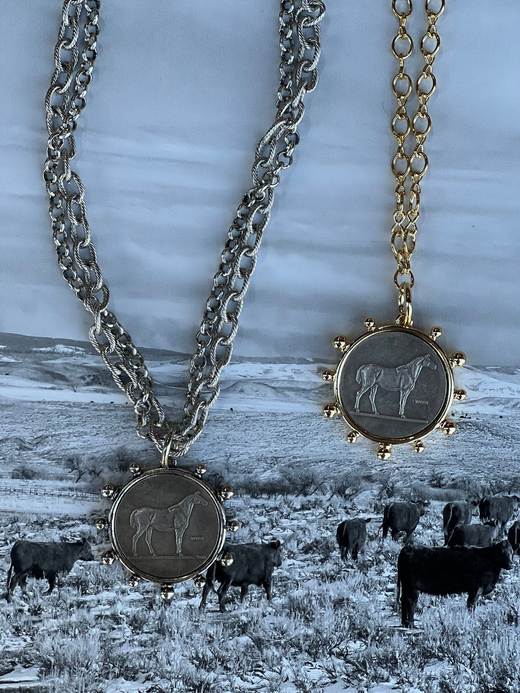 Silver Horse Coin Double Chain Necklace - Rooted & Reckless Co.