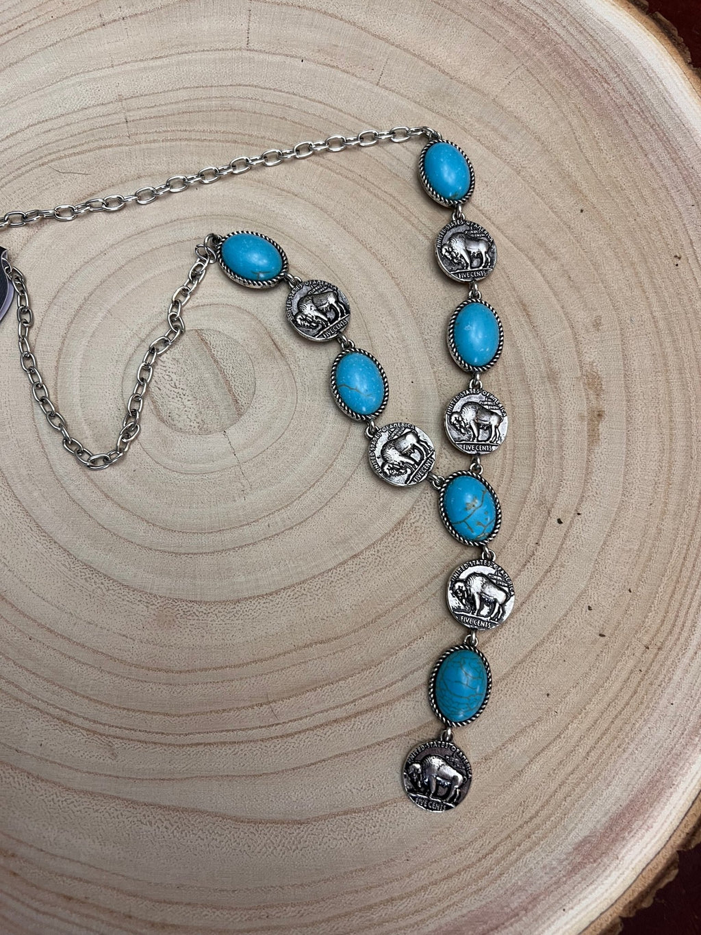 Silver Western Buffalo Coin Faux Lariat Necklace & Earring Set - Rooted & Reckless Co.