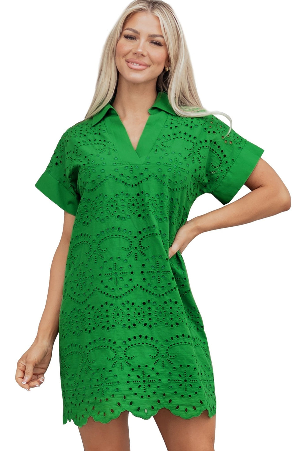 Solid Embroidered Eyelet Collared V-Neck Mini Dress - Rooted & Reckless Co.