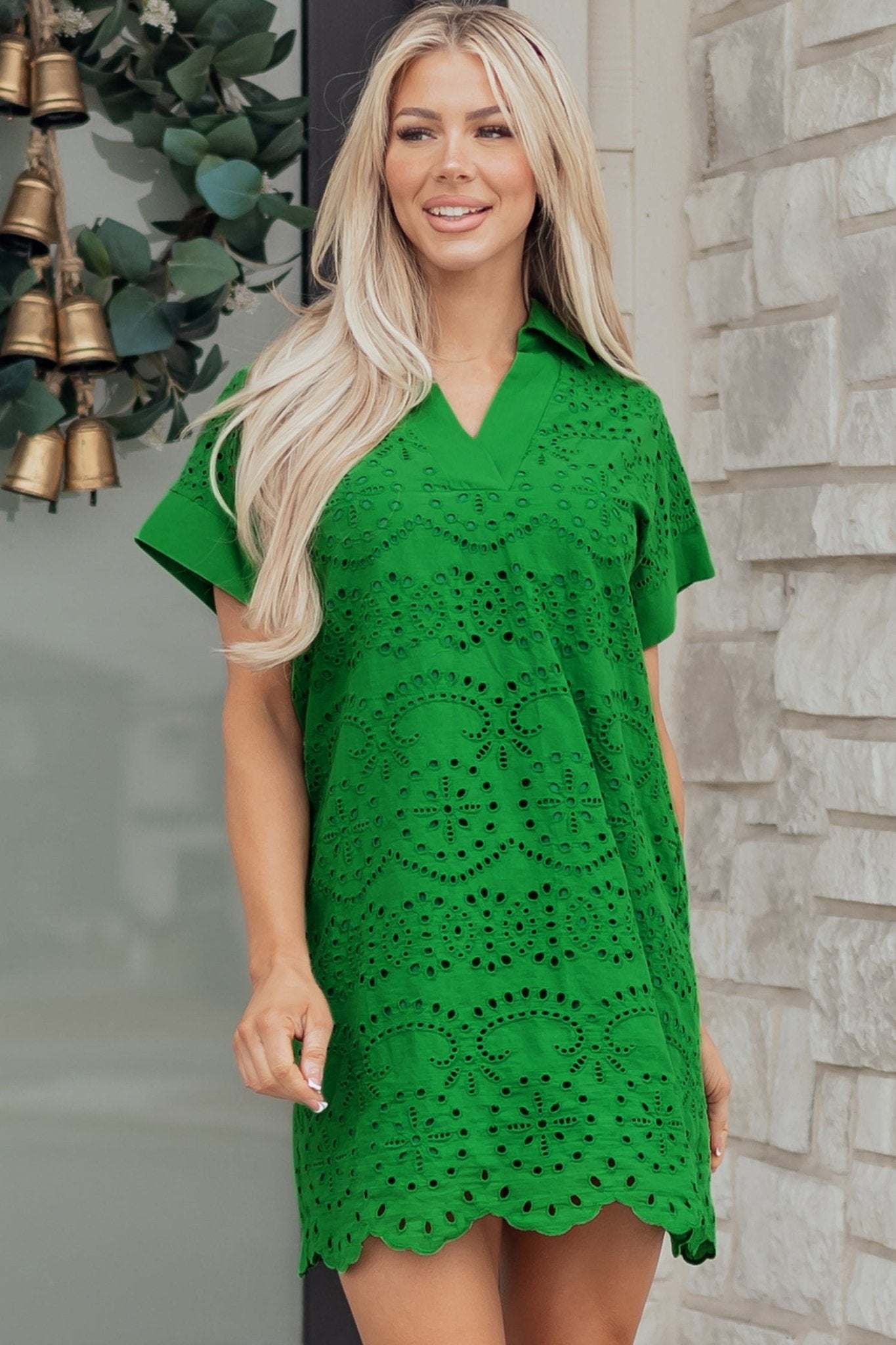 Solid Embroidered Eyelet Collared V-Neck Mini Dress - Rooted & Reckless Co.