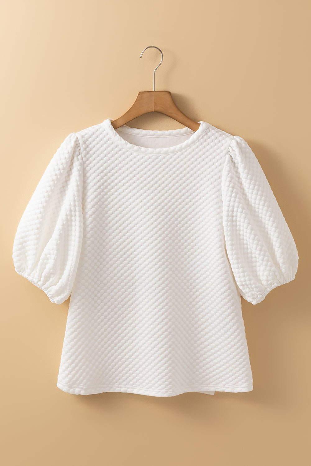 Solid Textured Round Neck Puff Sleeve Blouse - Rooted & Reckless Co.