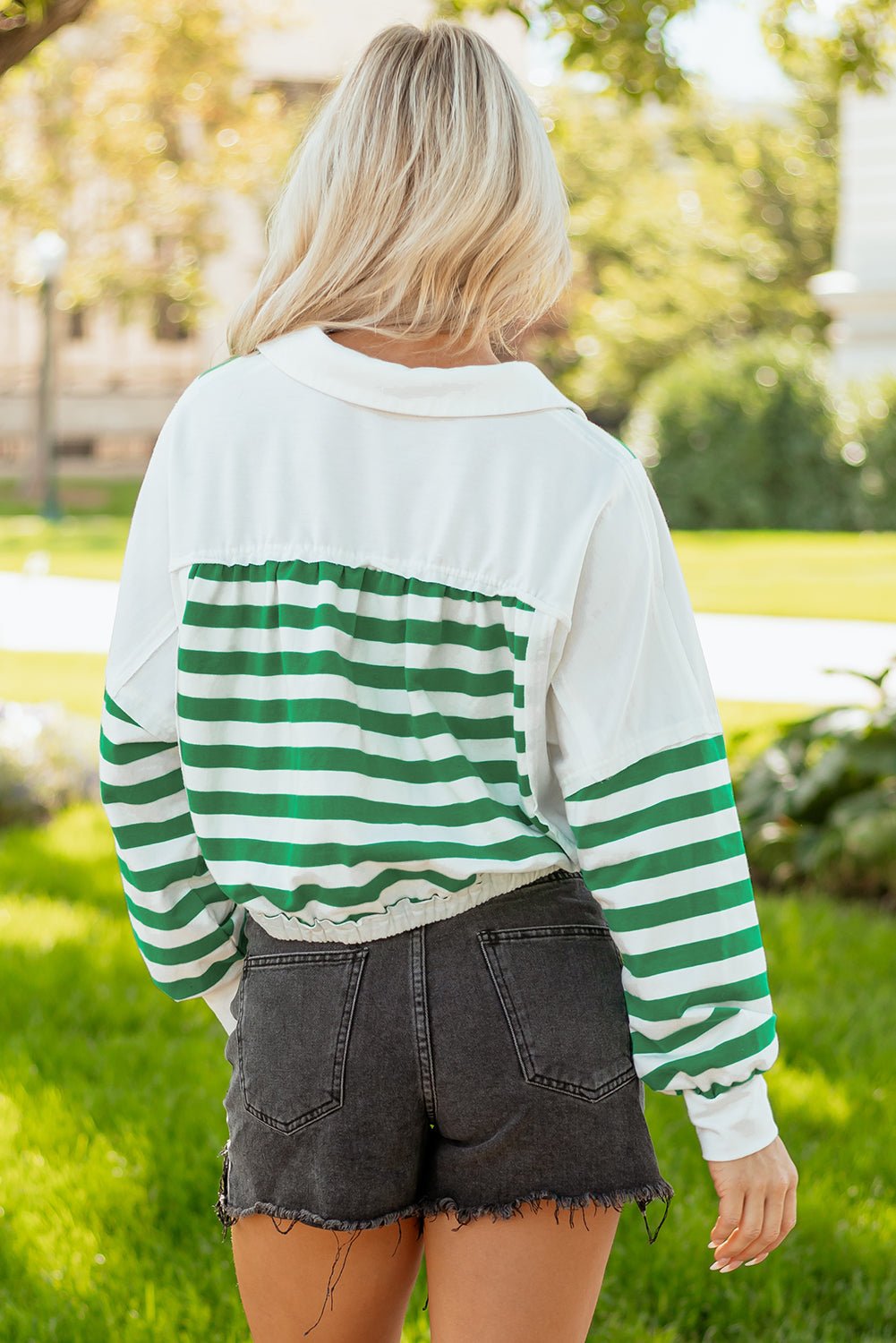 Stripe Colorblock Collared V-Neck Cropped Top - Rooted & Reckless Co.