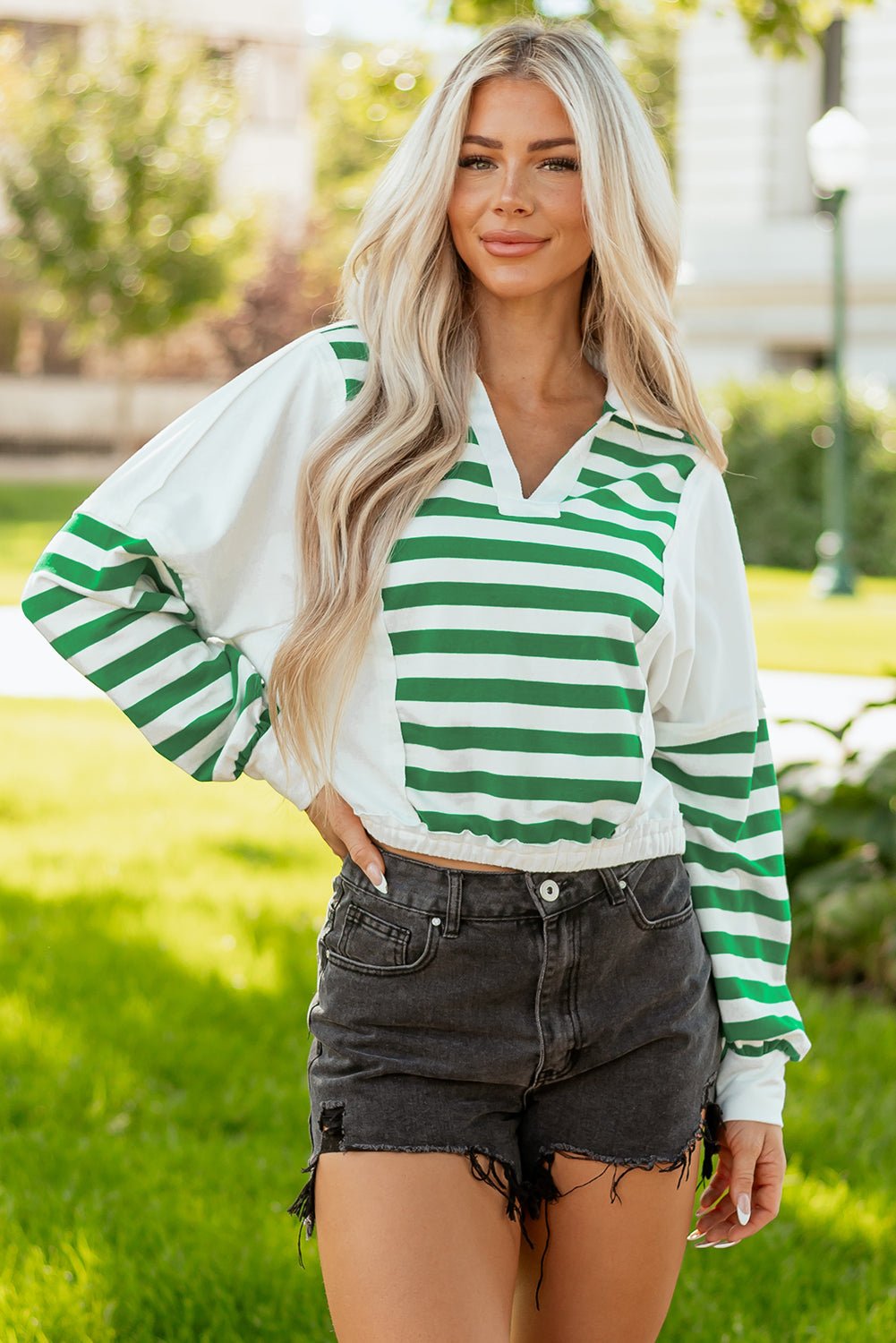 Stripe Colorblock Collared V-Neck Cropped Top - Rooted & Reckless Co.