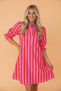 Stripe Half-Button Puff Sleeve Mini Dress - Rooted & Reckless Co.