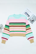 Stripe Ribbed Trim Crewneck Cropped Sweater - Rooted & Reckless Co.