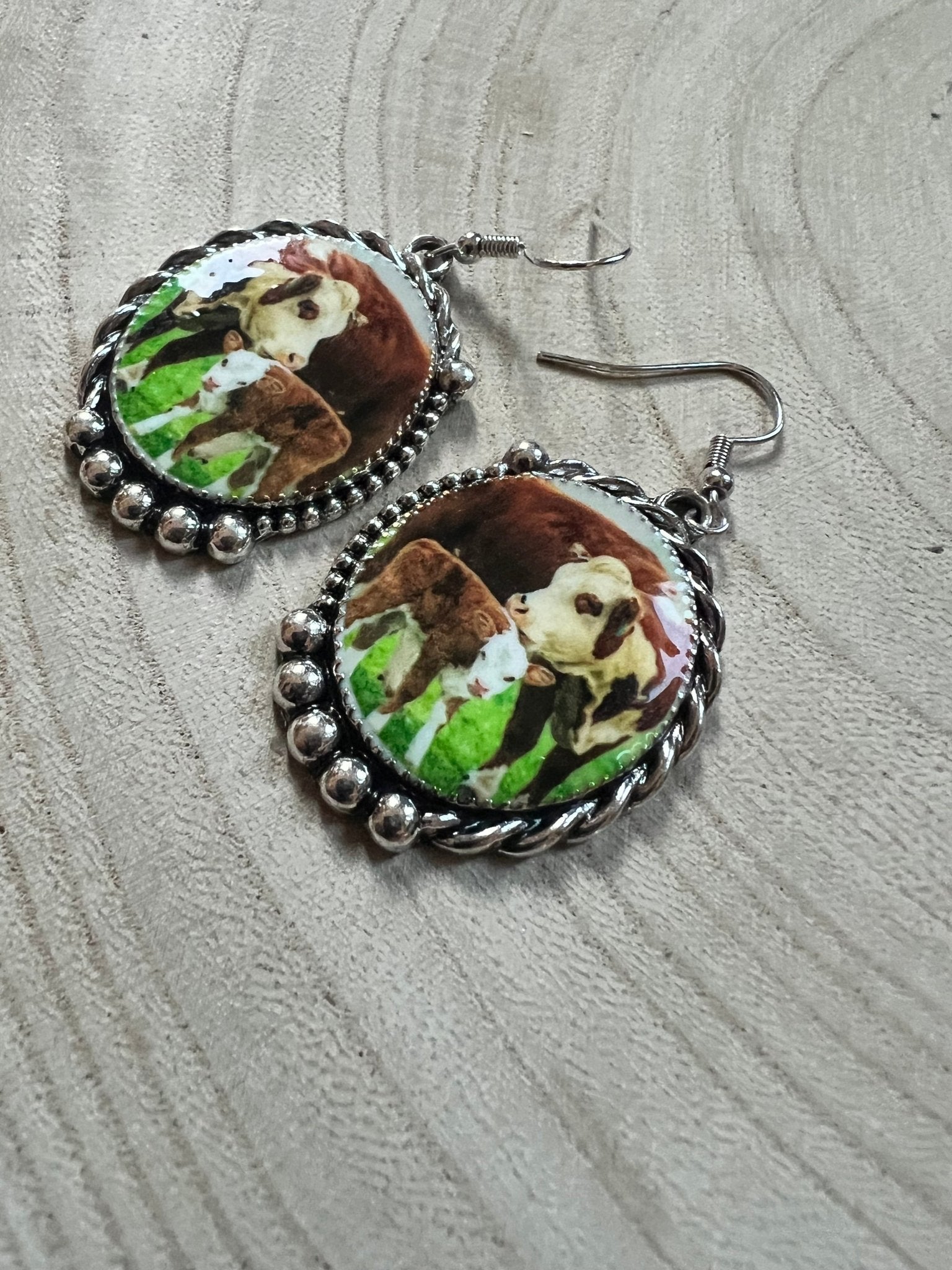 Western Framed Cow Calf Fashion Earrings — Ranch Life Statement (1½" x 1") - Rooted & Reckless Co.